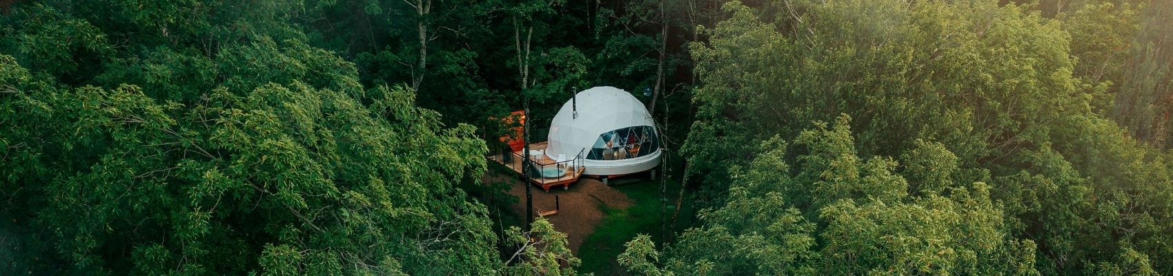 Winner small image - FDomes